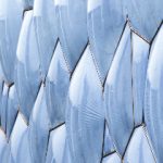 揭秘新闻爆料背后的真相与影响力 bufqz