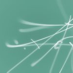 揭秘爆料网吃瓜内幕,带你了解最新八卦 n099xzt1